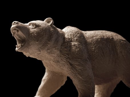 Heulender Bär in einer kraftvollen, drohenden Pose auf schwarzem Hintergrund.