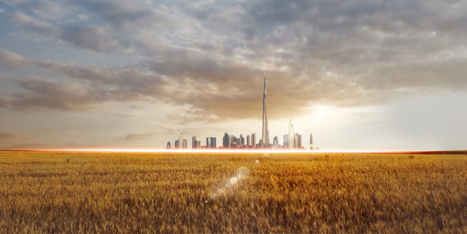Stadtansicht mit Wolkenkratzern hinter einem goldenen Weizenfeld unter bewölktem Himmel.
