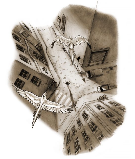 Vogelperspektive Zwei Vögel fliegen über eine belebte Straße zwischen hohen Gebäuden.