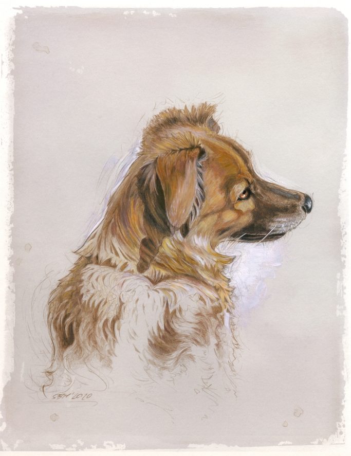 Milo - 2020, Pencil, acrylic Porträt eines braunen Hundes im Profil, mit weichem, flauschigem Fell.