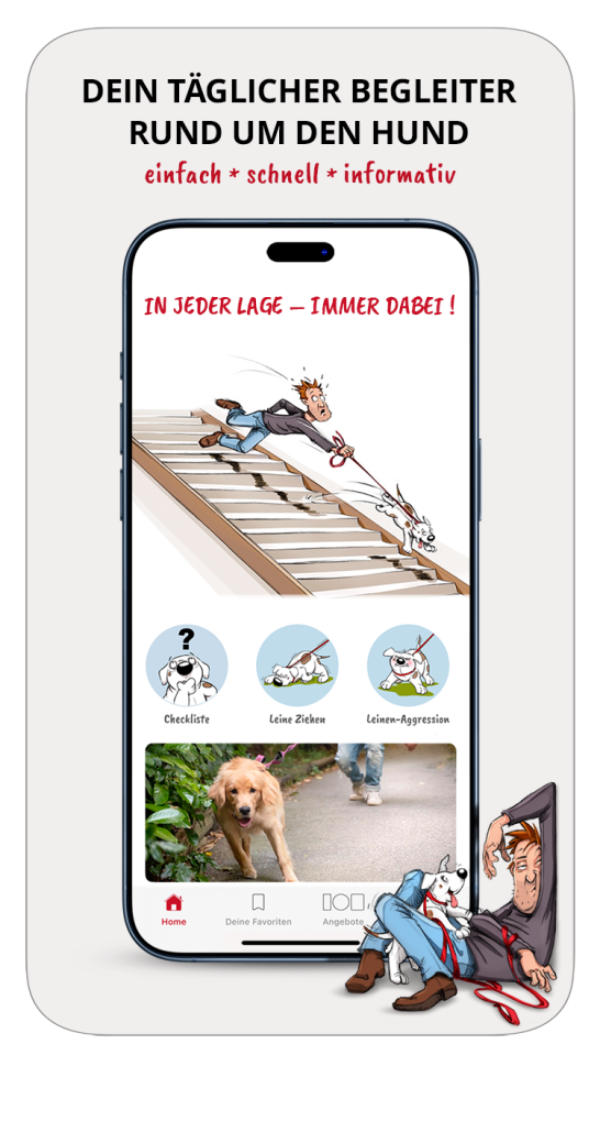 Dein täglicher Begleiter